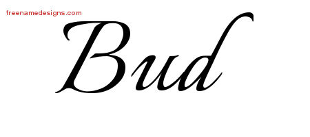 Calligraphic Name Tattoo Designs Bud Free Graphic